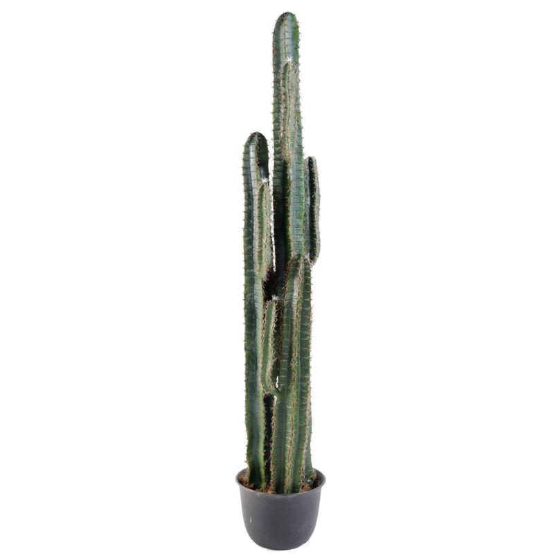 Cactus Artificiel Finger