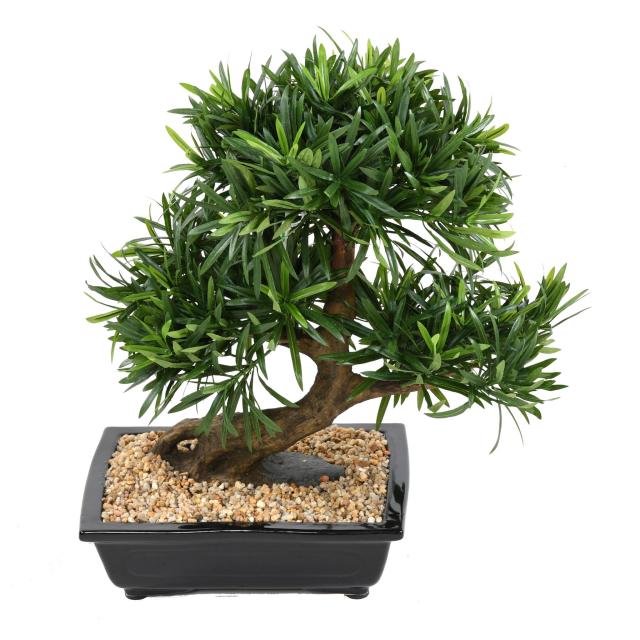 Bonsaï Artificiel Podocarpus 50cm en Coupe