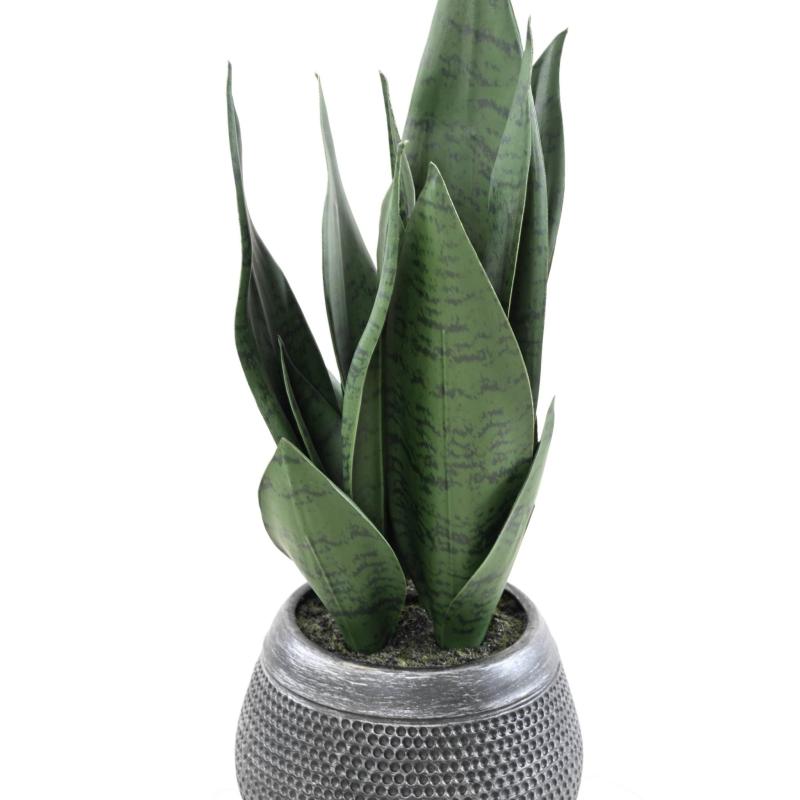 Sansevieria Artificiel 49