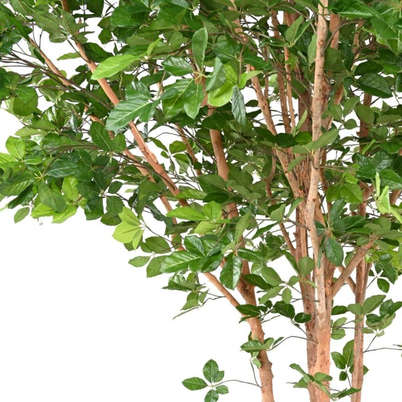 Hetre Artificiel Grandifolia TREE 350
