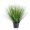 Onion Grass Artificiel Grass Round GF