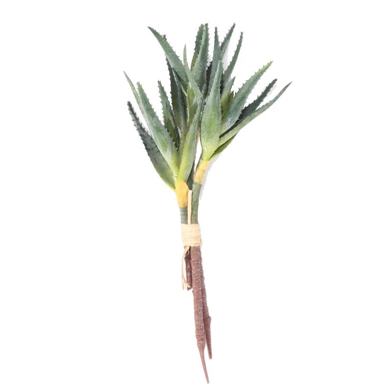 Aloe 35 Artificielle