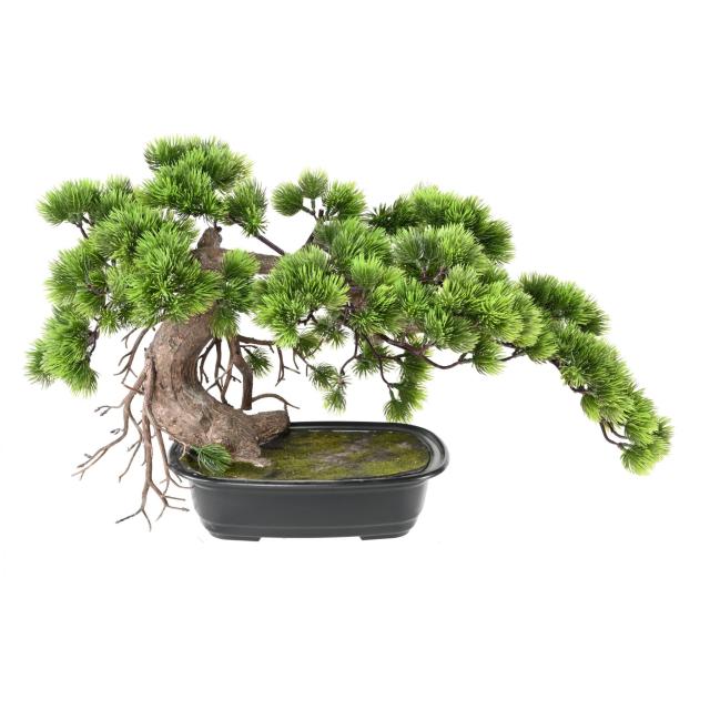 Bonsai Artificiel Pin 37