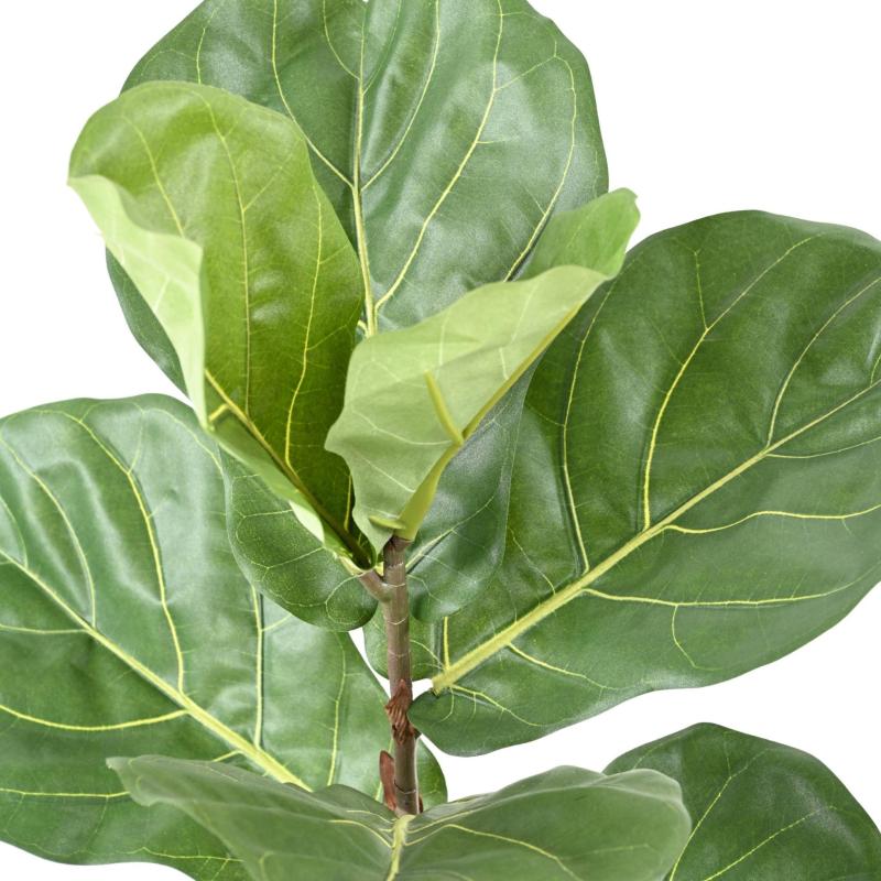Lyrata Artificiel