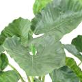 Alocasia Artificiel Calidora