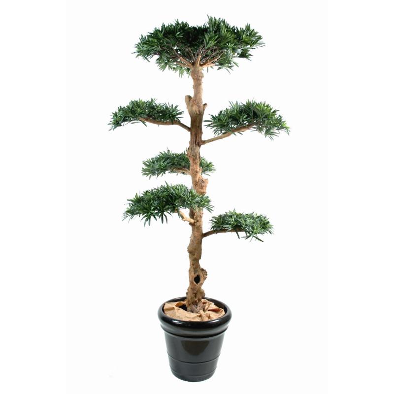 Podocarpus Artificiel Nuage Large