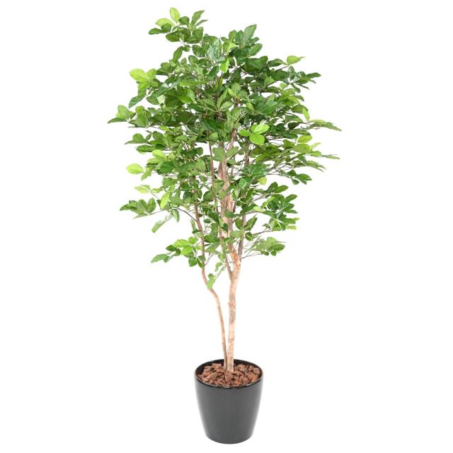 Hetre Artificiel Grandifolia