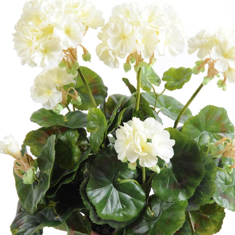 Geranium Artificiel *52