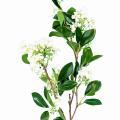 Jasmin Fleur Artificiel SPRAY 70