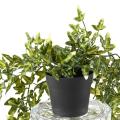 Lierre Artificiel 70 Pot