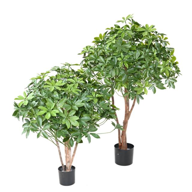 Schefflera Artificiel Buisson PLAST UV