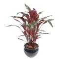 Calathea Artificiel Longues Feuilles