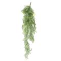 Asparagus Artificiel Chute
