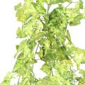 Syngonium Artificiel Mini Chute 80