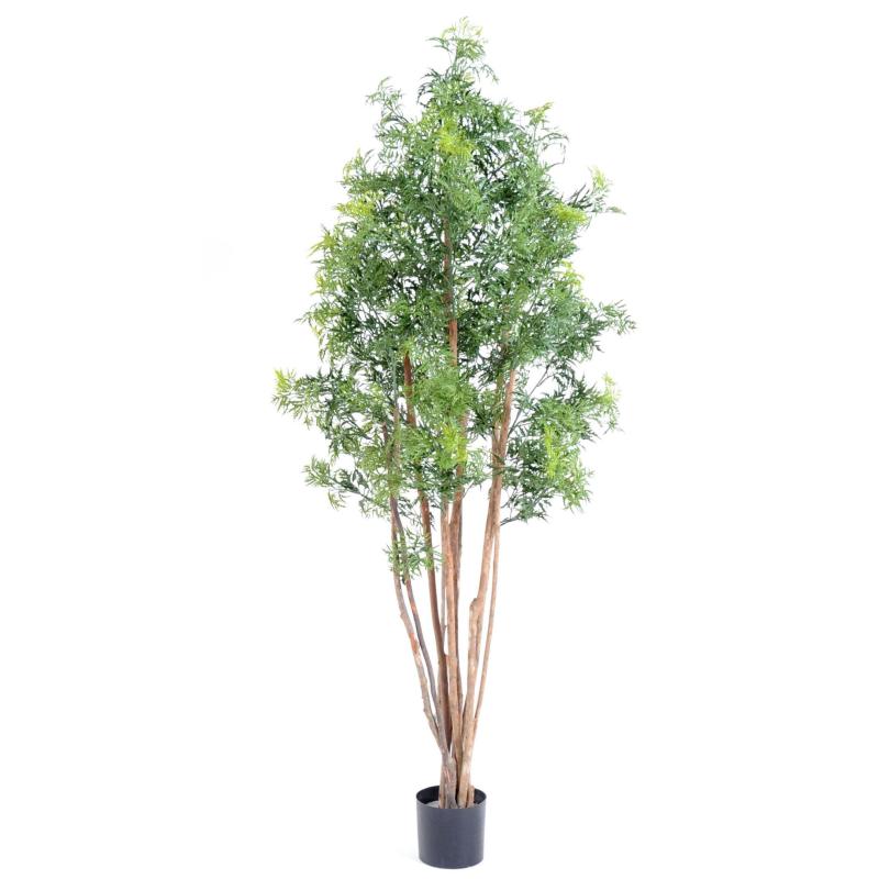 Aralia Artificiel Ming Nitida
