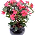 Impatiens Artificielle Piquet