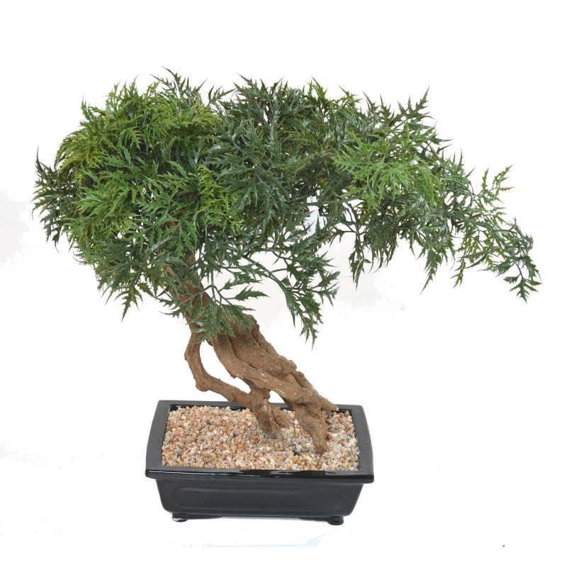 Bonsai Artificiel Aralia en Coupe