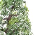 Bonsai Artificiel Aralia en Coupe