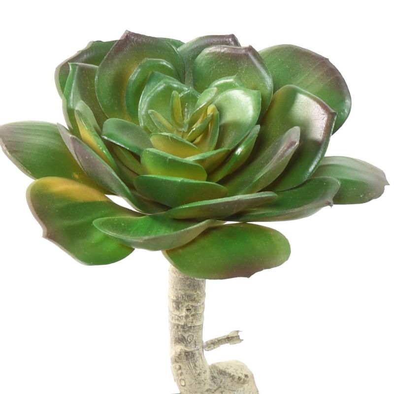 Succulente Artificiel Ronde 15