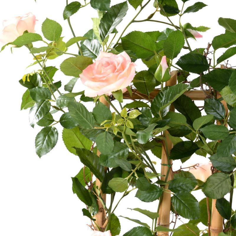 Rosier Artificiel Royal Palissade Large