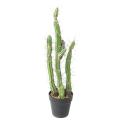 Cactus Artificiel Finger F