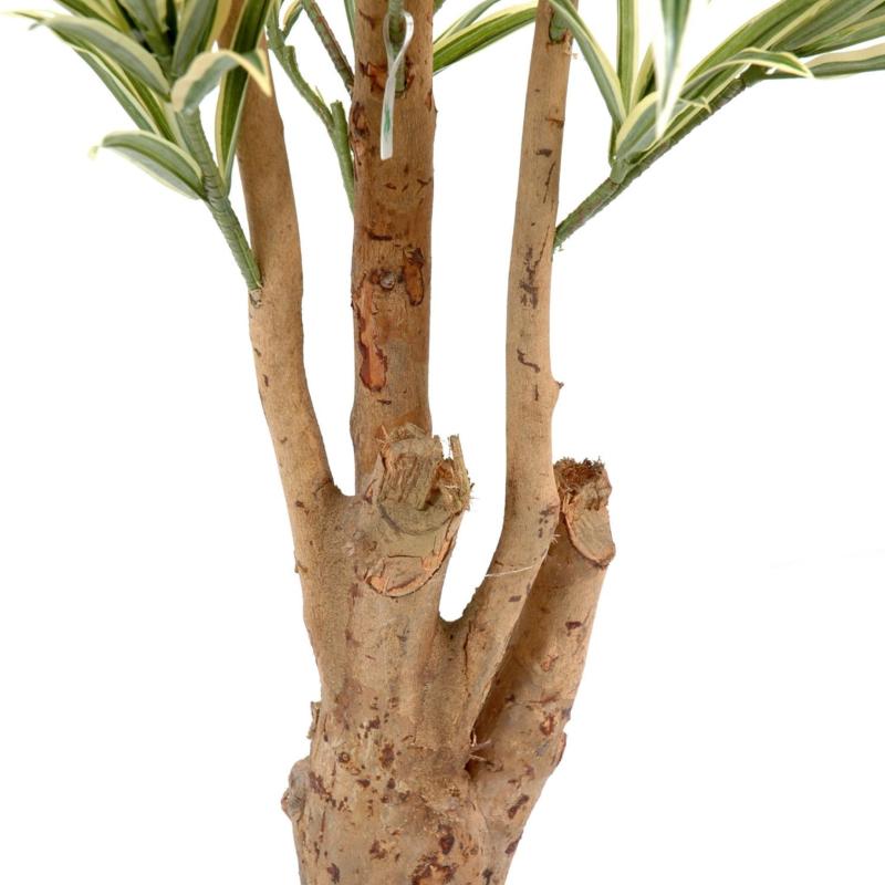 Dracaena Artificiel Reflexa