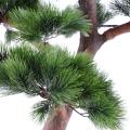 Pin Artificiel Bonsai UV