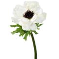 Anemone Artificielle