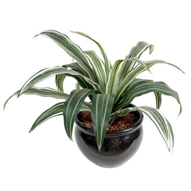 Dracaena Artificiel Warneki 20f