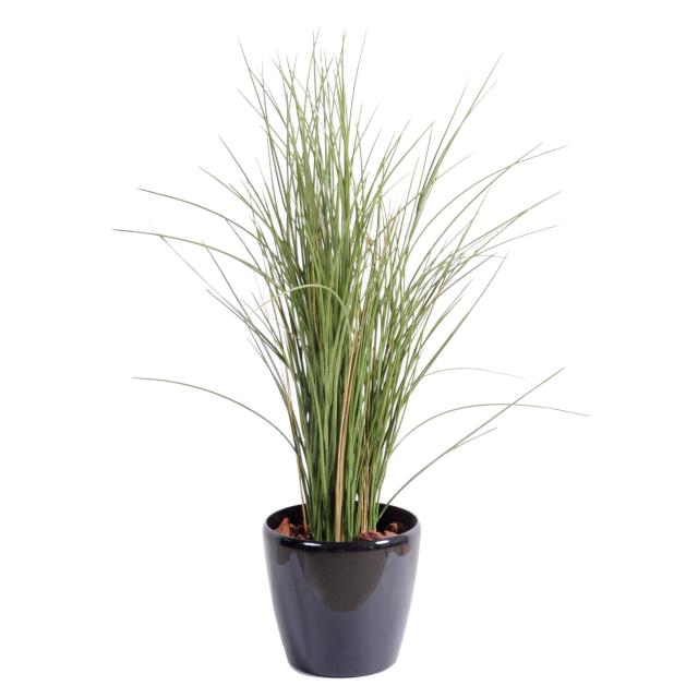 Herbe Artificielle Honey Grass
