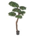 Podocarpus Artificiel Bonsai UV
