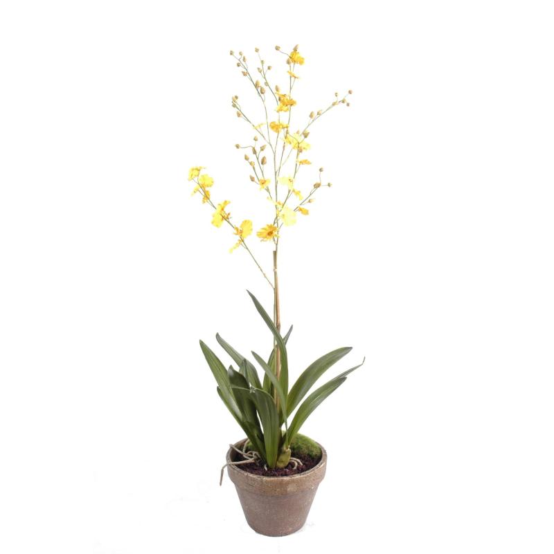 Orchidee Artificielle Dancing Lady Pot Terre