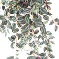 Tradescantia Artificiel 70