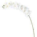 Phalaenopsis Artificielle Tige
