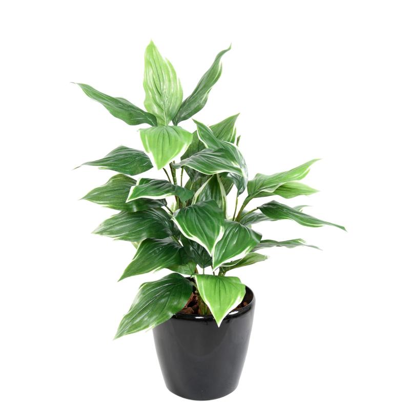 Hosta Artificiel 28 Feuilles