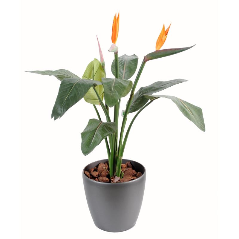 Strelitzia Artificiel 2fl 1bt
