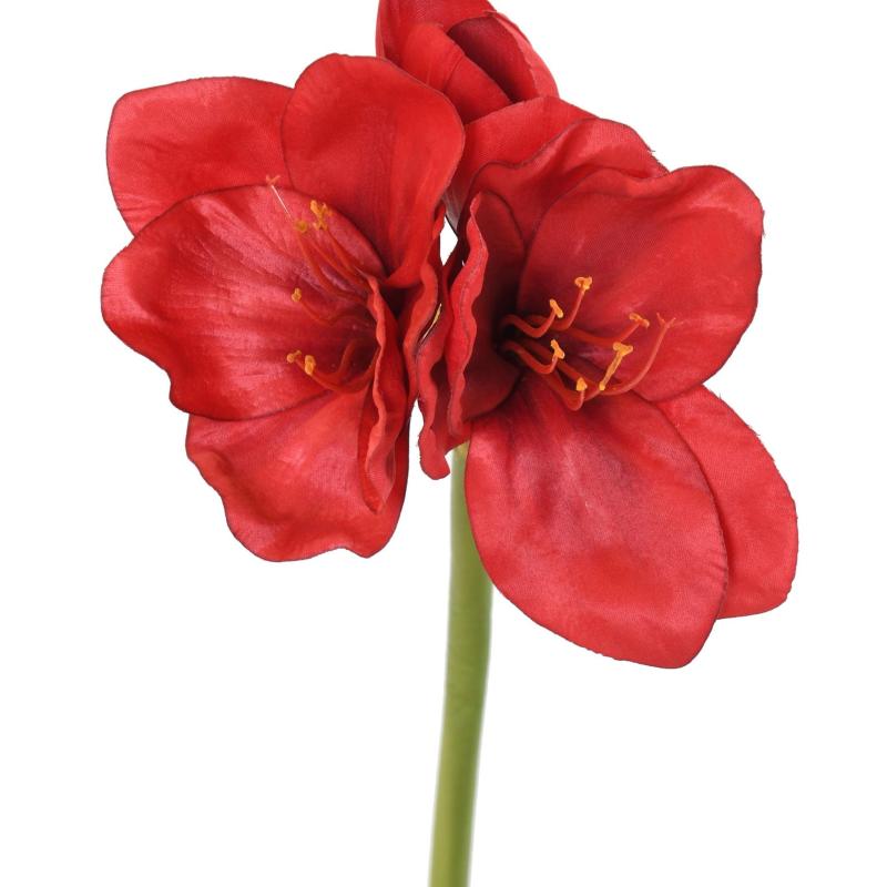 Amaryllis Artificielle