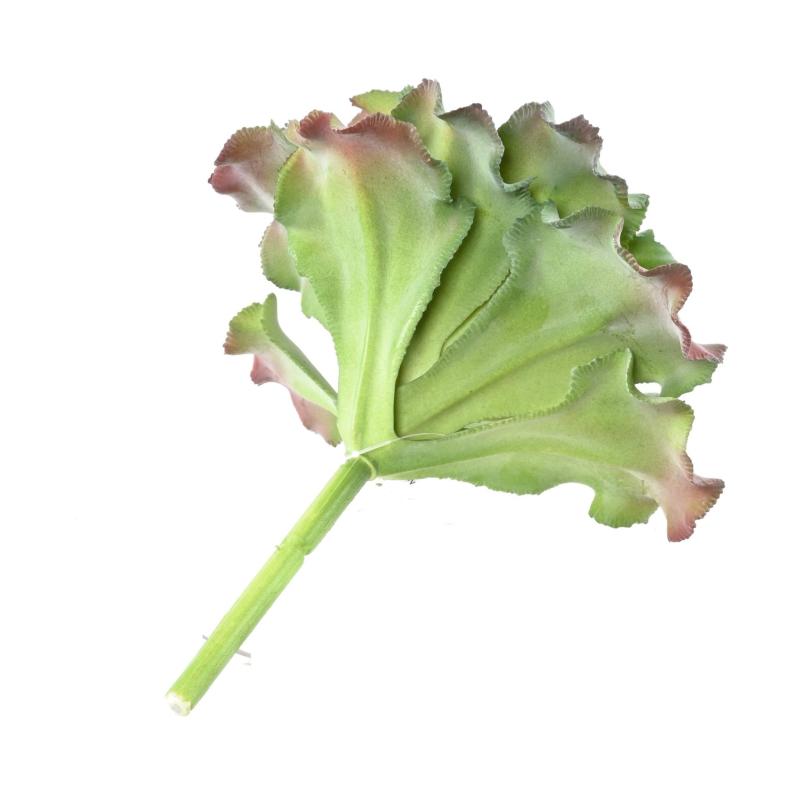 Succulente Artificielle 22