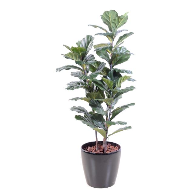 Lyrata Artificiel Tige