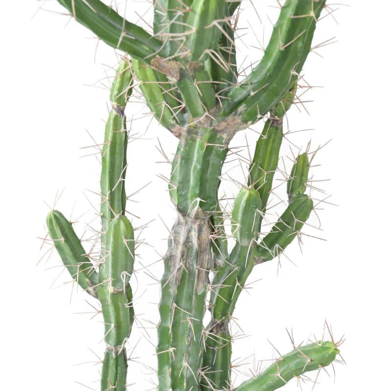Cactus Artificiel Finger F