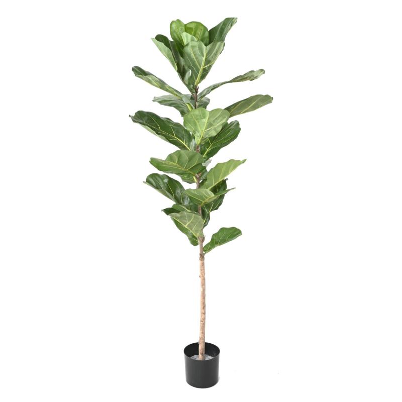 Lyrata Artificiel