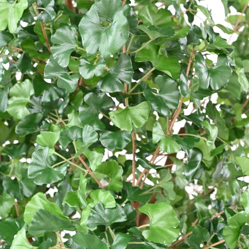 Ginkgobiloba Artificiel TREE