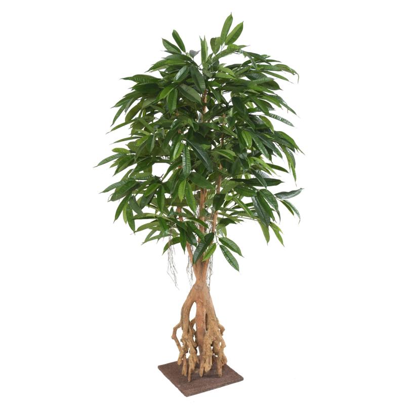 Ficus Artificiel Root Longifolia