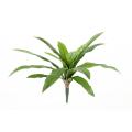 Asplenium Artificiel *15