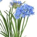 Agapanthe Artificielle en Motte