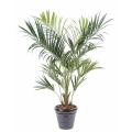 Kentia Artificiel Royal