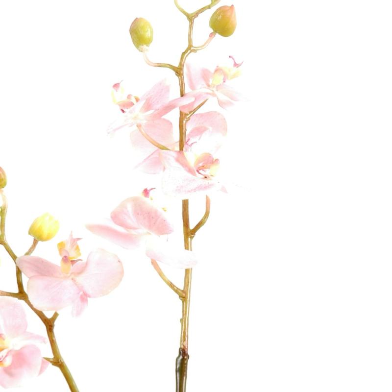 Phalaenopsis Artificielle M Tige