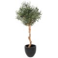 Olivier Artificiel 2T