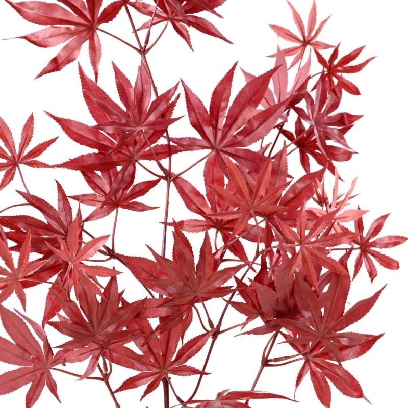 Aralia Artificiel NEW * 44