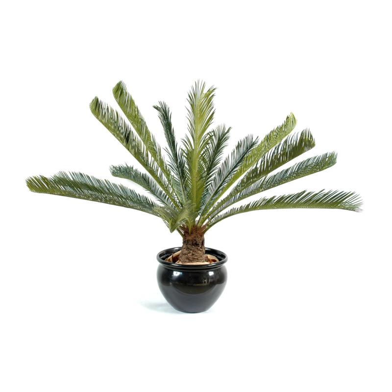 Cycas Artificiel Geant *15